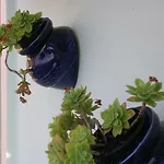 Lägenhet Lavanda
