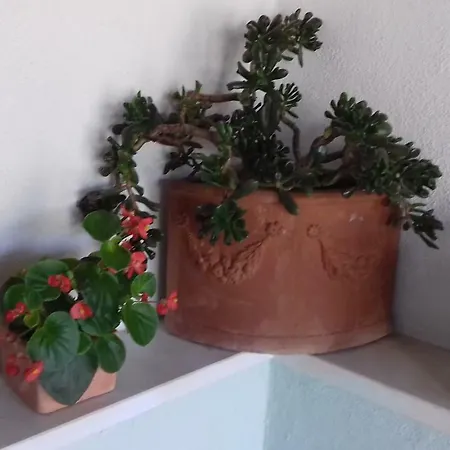 Apartman Lavanda Sutivan