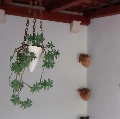 Lavanda Apartamento *