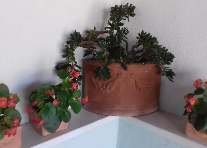 Apartamento Lavanda Sutivan