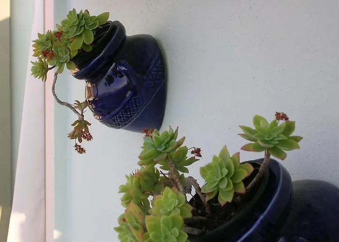 Apartamento Lavanda
