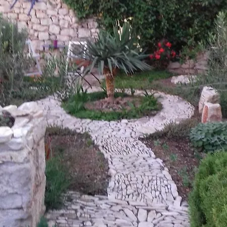 Lavanda