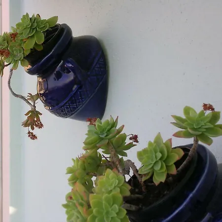 Lejlighed Lavanda